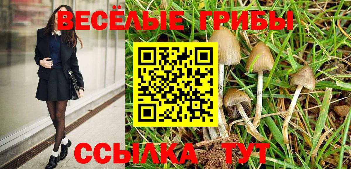 Салават  Псилоцибиновые грибы Psilocybe  где найти наркотики  Вход с VPN 