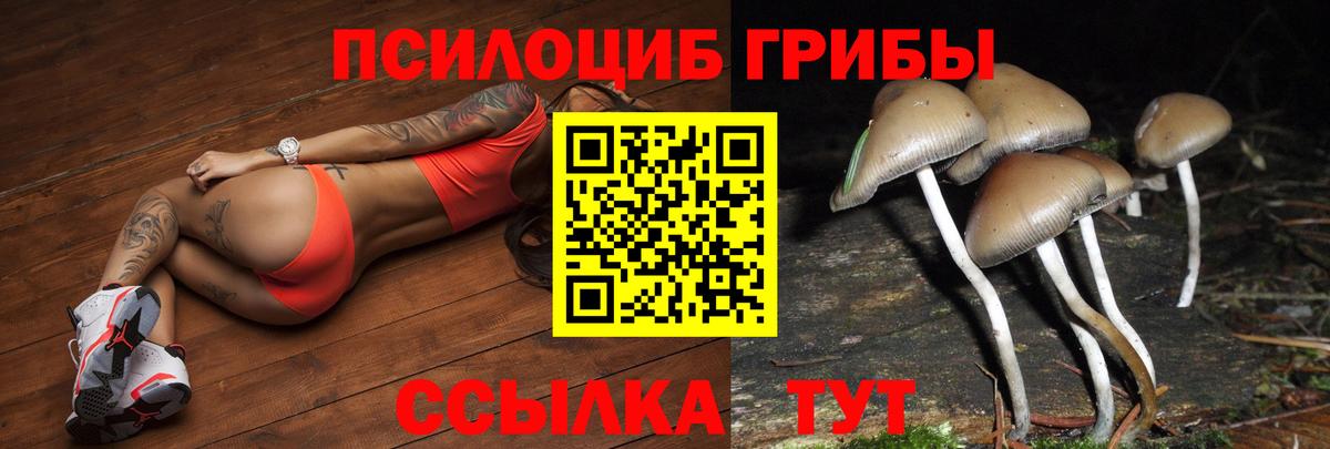 Галлюциногенные грибы прущие грибы Салават